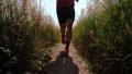New Balance Fresh Foam Hierro V6 Running Straight