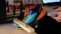 Hoka Zinal Flex Test