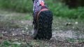 Altra Lone Peak 7 Grip