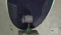 Nike Wildhorse 8 Dremel Toe