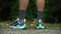 Nike Wildhorse 8 Stability