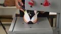 Nike Winflo 10 cutting